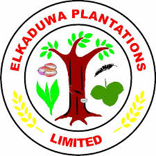 Elkaduwa Plantations Ltd logo